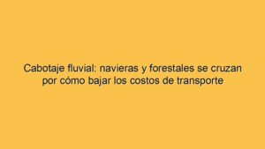 Cabotaje fluvial: navieras y forestales se cruzan por cómo bajar los costos de transporte