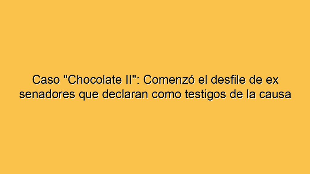 Caso "Chocolate II": Comenzó el desfile de ex senadores que declaran como testigos de la causa