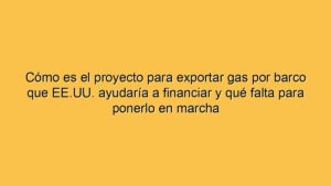 Cómo es el proyecto para exportar gas por barco que EE.UU. ayudaría a financiar y qué falta para ponerlo en marcha