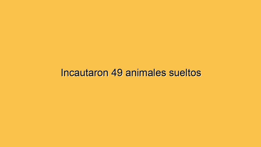 Incautaron 49 animales sueltos