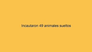 Incautaron 49 animales sueltos