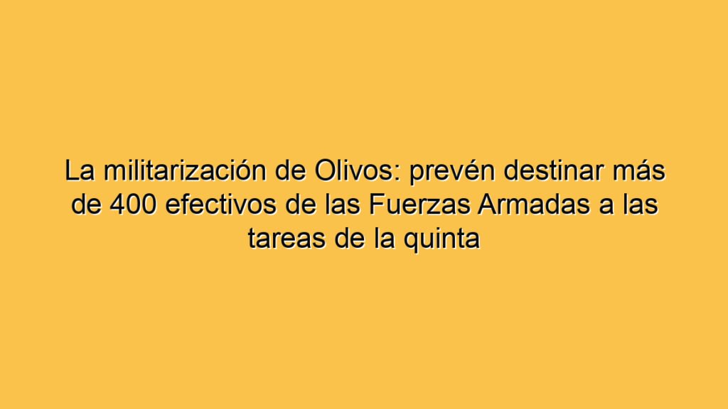 La militarización de Olivos: prevén destinar más de 400 efectivos de las Fuerzas Armadas a las tareas de la quinta