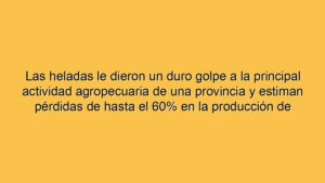 Las heladas le dieron un duro golpe a la principal actividad agropecuaria de una provincia y estiman pérdidas de hasta el 60% en la producción de una variedad clave