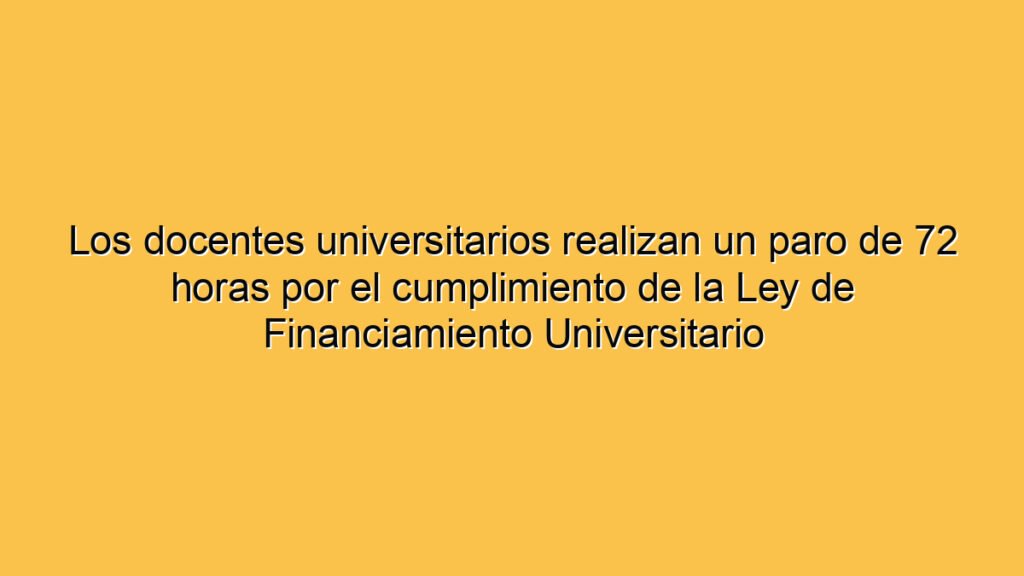 Los docentes universitarios realizan un paro de 72 horas por el cumplimiento de la Ley de Financiamiento Universitario