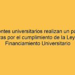 Los docentes universitarios realizan un paro de 72 horas por el cumplimiento de la Ley de Financiamiento Universitario