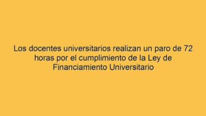 Los docentes universitarios realizan un paro de 72 horas por el cumplimiento de la Ley de Financiamiento Universitario