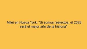 Milei en Nueva York: "Si somos reelectos, el 2028 será el mejor año de la historia"