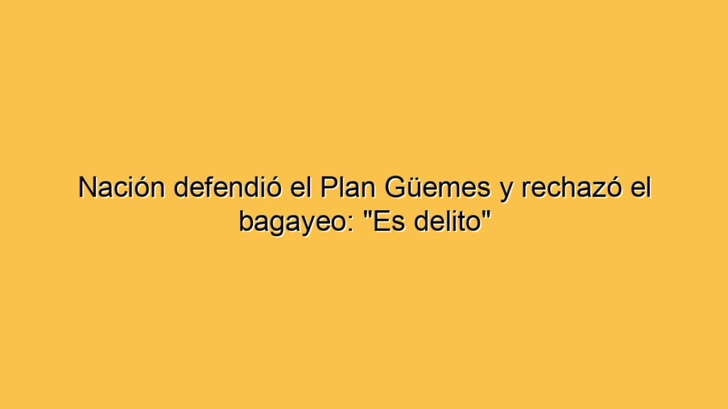 Nación defendió el Plan Güemes y rechazó el bagayeo: "Es delito"