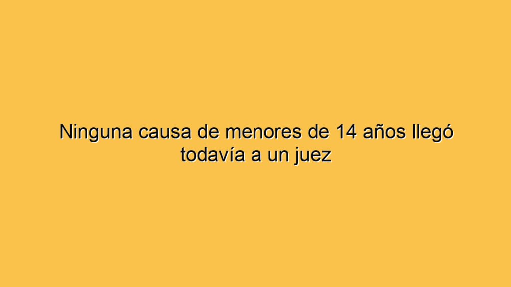 Ninguna causa de menores de 14 años llegó todavía a un juez