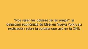 "Nos salen los dólares de las orejas": la definición económica de Milei en Nueva York y su explicación sobre la corbata que usó en la ONU