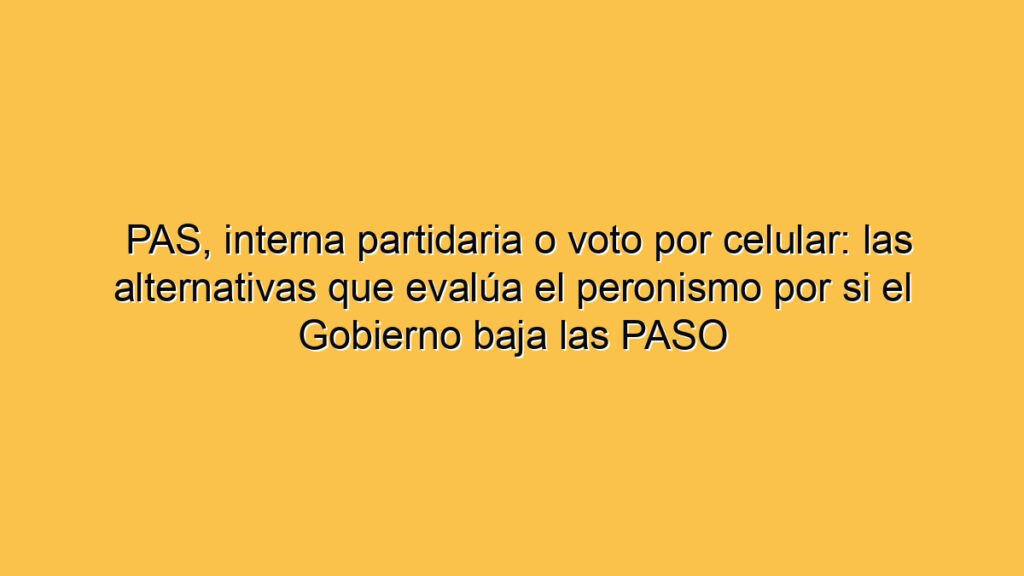 PAS, interna partidaria o voto por celular: las alternativas que evalúa el peronismo por si el Gobierno baja las PASO