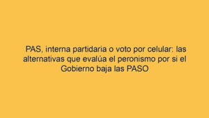 PAS, interna partidaria o voto por celular: las alternativas que evalúa el peronismo por si el Gobierno baja las PASO