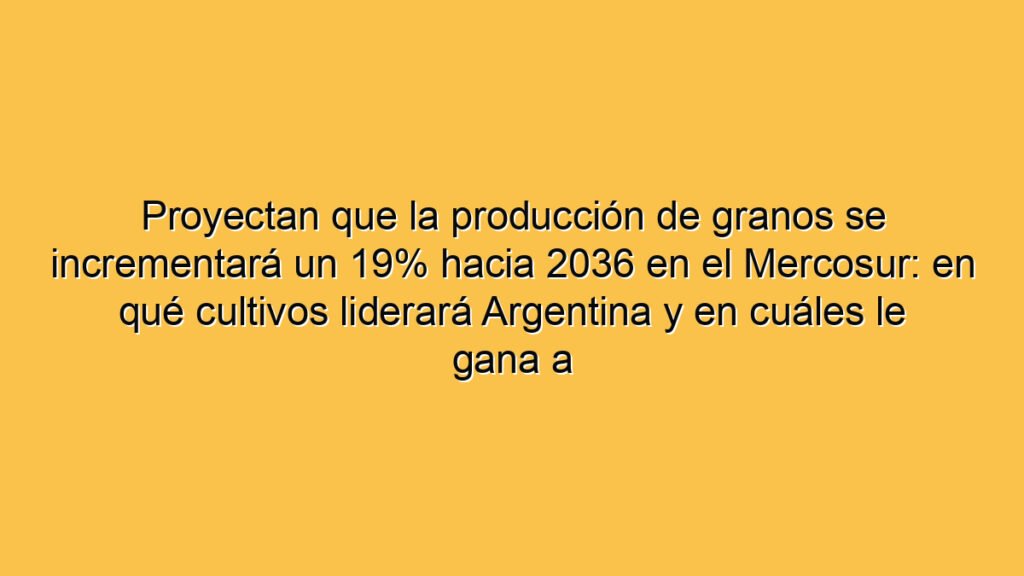 Proyectan que la producción de granos se incrementará un 19% hacia 2036 en el Mercosur: en qué cultivos liderará Argentina y en cuáles le gana a Brasil