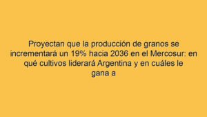 Proyectan que la producción de granos se incrementará un 19% hacia 2036 en el Mercosur: en qué cultivos liderará Argentina y en cuáles le gana a Brasil