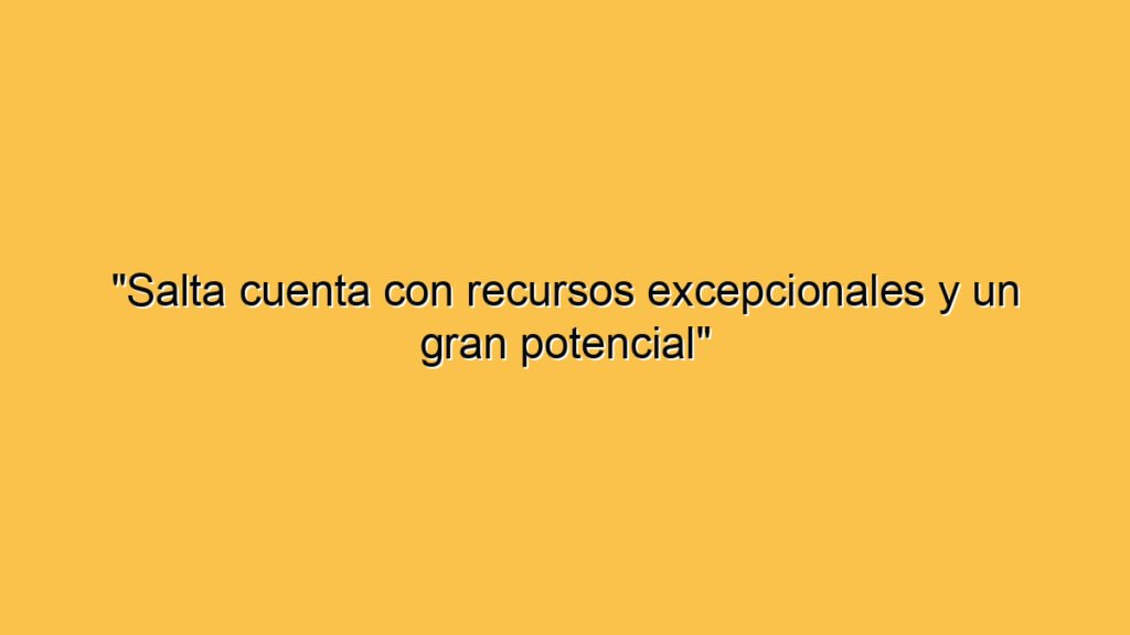 "Salta cuenta con recursos excepcionales y un gran potencial"