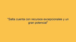 "Salta cuenta con recursos excepcionales y un gran potencial"