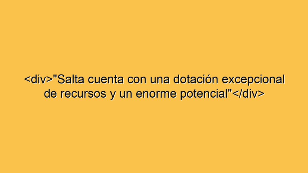 <div>"Salta cuenta con una dotación excepcional de recursos y un enorme potencial"</div>