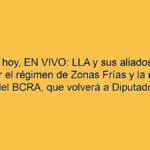 Senado hoy, EN VIVO: LLA y sus aliados buscan aprobar el régimen de Zonas Frías y la reforma del BCRA, que volverá a Diputados