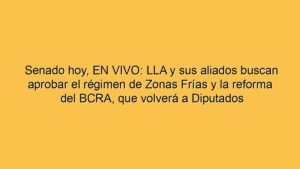 Senado hoy, EN VIVO: LLA y sus aliados buscan aprobar el régimen de Zonas Frías y la reforma del BCRA, que volverá a Diputados