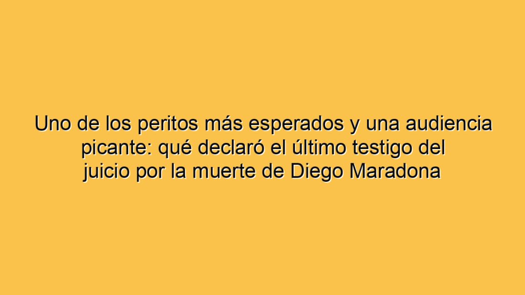 Uno de los peritos más esperados y una audiencia picante: qué declaró el último testigo del juicio por la muerte de Diego Maradona