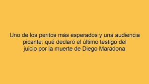 Uno de los peritos más esperados y una audiencia picante: qué declaró el último testigo del juicio por la muerte de Diego Maradona