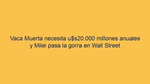 Vaca Muerta necesita u$s20.000 millones anuales y Milei pasa la gorra en Wall Street