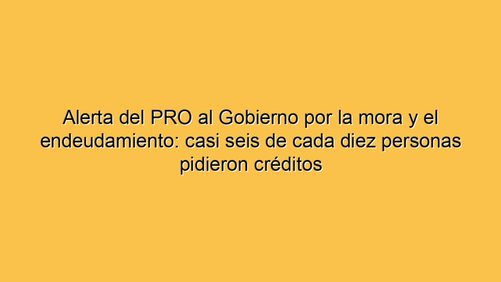 Alerta del PRO al Gobierno por la mora y el endeudamiento: casi seis de cada diez personas pidieron créditos