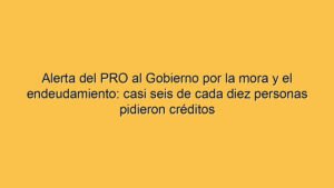 Alerta del PRO al Gobierno por la mora y el endeudamiento: casi seis de cada diez personas pidieron créditos