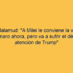 Andrés Malamud: "A Milei le conviene la victoria de Bolsonaro ahora, pero va a sufrir el déficit de atención de Trump"