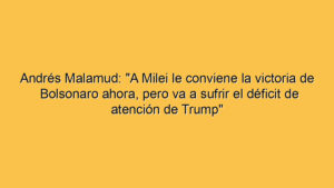 Andrés Malamud: "A Milei le conviene la victoria de Bolsonaro ahora, pero va a sufrir el déficit de atención de Trump"