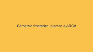 Comercio fronterizo: planteo a ARCA