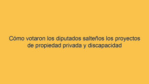 Cómo votaron los diputados salteños los proyectos de propiedad privada y discapacidad