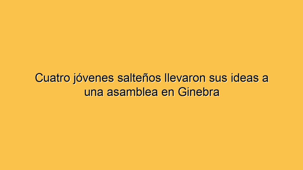 Cuatro jóvenes salteños llevaron sus ideas a una asamblea en Ginebra