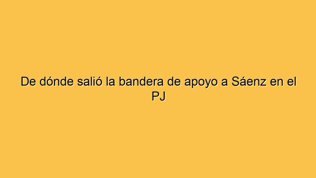 De dónde salió la bandera de apoyo a Sáenz en el PJ
