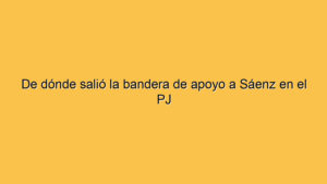 De dónde salió la bandera de apoyo a Sáenz en el PJ