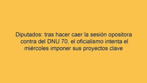 Diputados: tras hacer caer la sesión opositora contra del DNU 70, el oficialismo intenta el miércoles imponer sus proyectos clave