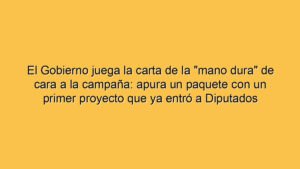 El Gobierno juega la carta de la "mano dura" de cara a la campaña: apura un paquete con un primer proyecto que ya entró a Diputados