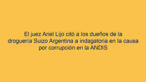 El juez Ariel Lijo citó a los dueños de la droguería Suizo Argentina a indagatoria en la causa por corrupción en la ANDIS