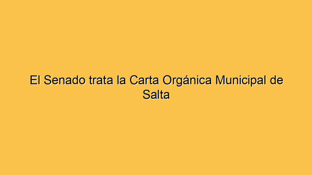 El Senado trata la Carta Orgánica Municipal de Salta