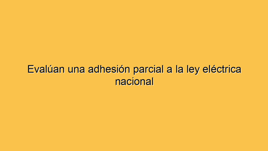 Evalúan una adhesión parcial a la ley eléctrica nacional