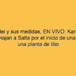 Javier Milei y sus medidas, EN VIVO: Karina Milei y Santilli viajan a Salta por el inicio de una obra de una planta de litio