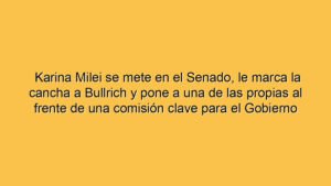 Karina Milei se mete en el Senado, le marca la cancha a Bullrich y pone a una de las propias al frente de una comisión clave para el Gobierno