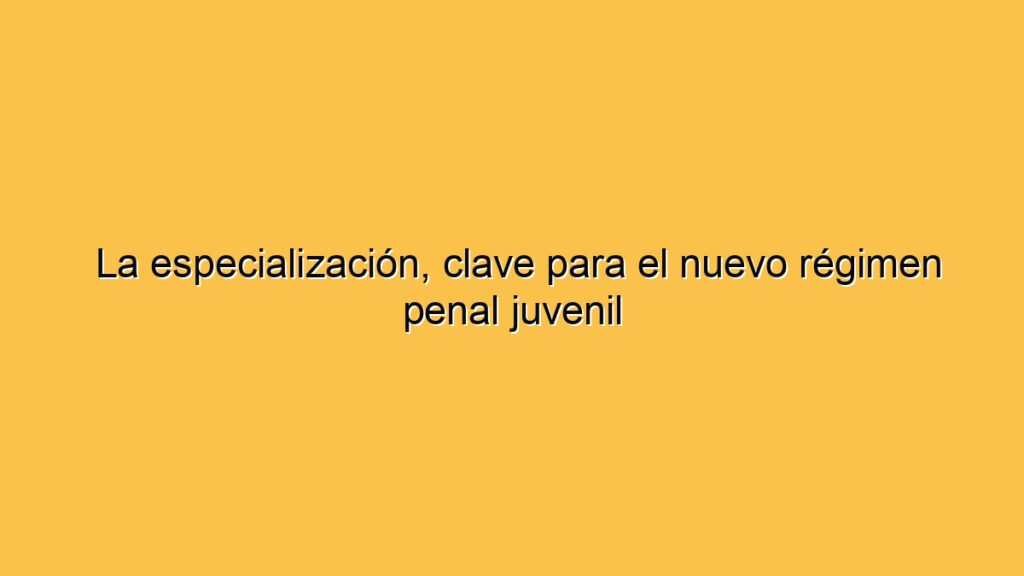 La especialización, clave para el nuevo régimen penal juvenil