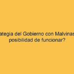 La estrategia del Gobierno con Malvinas:¿tiene posibilidad de funcionar?