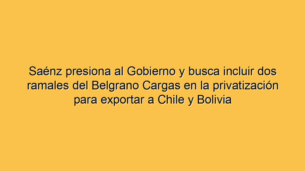 Saénz presiona al Gobierno y busca incluir dos ramales del Belgrano Cargas en la privatización para exportar a Chile y Bolivia