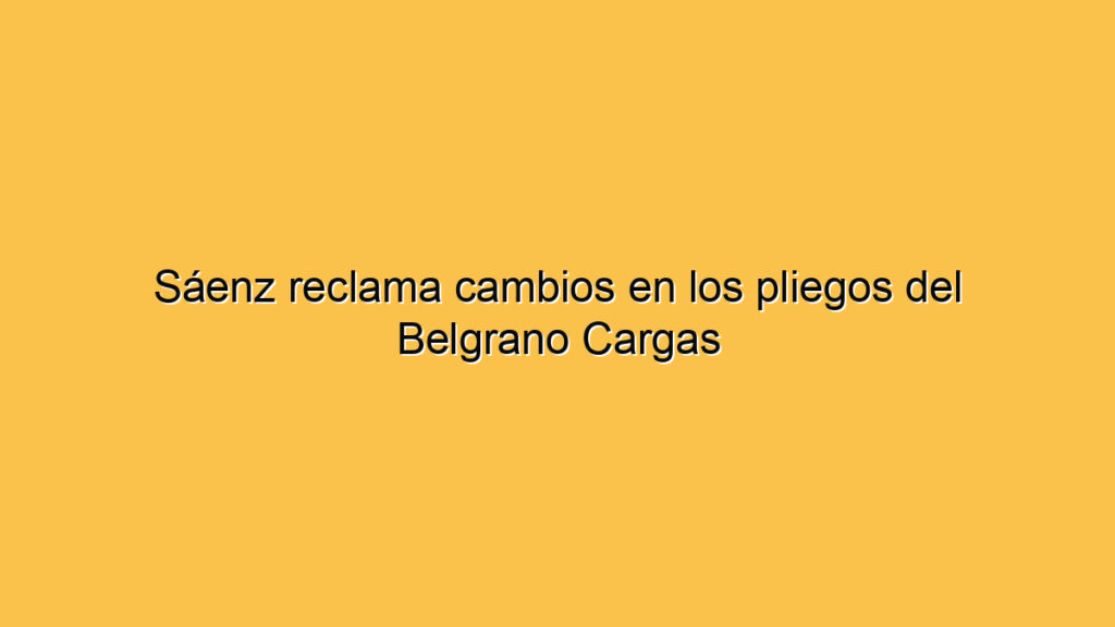 Sáenz reclama cambios en los pliegos del Belgrano Cargas