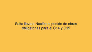 Salta lleva a Nación el pedido de obras obligatorias para el C14 y C15