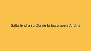 Salta tendrá su Día de la Escarapela Andina