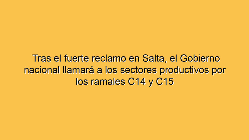 Tras el fuerte reclamo en Salta, el Gobierno nacional llamará a los sectores productivos por los ramales C14 y C15