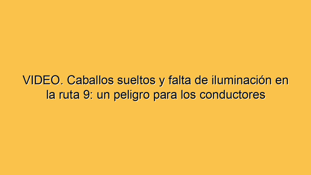 VIDEO. Caballos sueltos y falta de iluminación en la ruta 9: un peligro para los conductores